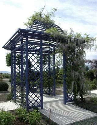 Blauer Rankpavillon aus Metall mit weißer Glyzinie