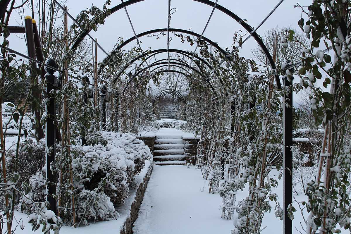 Romantischer Laubengang aus Metall nach Maß im Winter