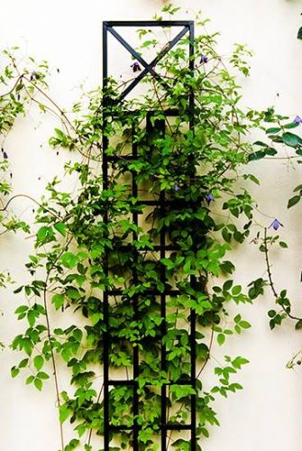 Schmales Spalier für Pflanzen an Wand aus Metall 200 x 30 cm