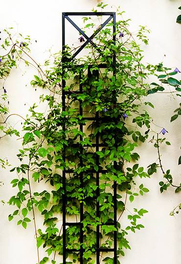 Schmales Spalier für Pflanzen an Wand aus Metall 200 x 30 cm