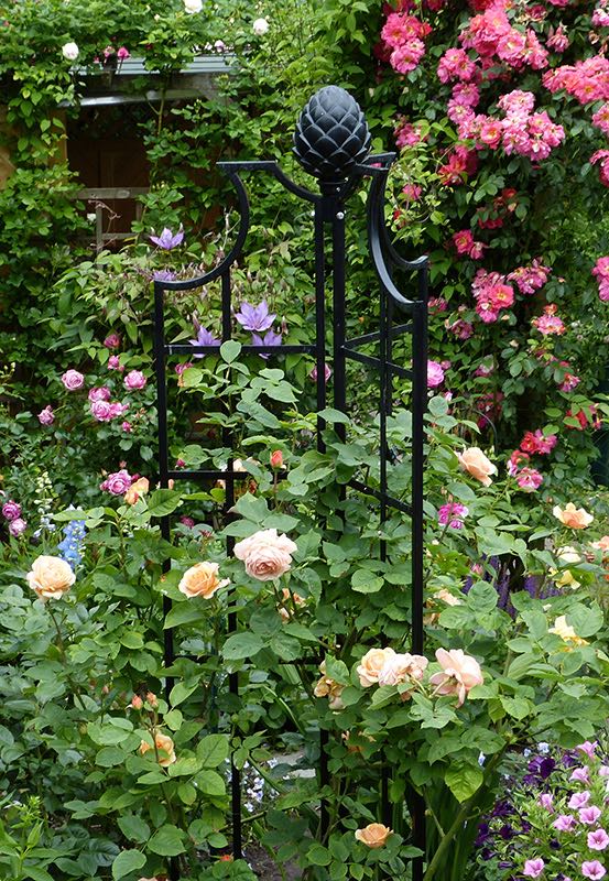 obelisk-ii-mit-rose-charles-austin Classic Garden
