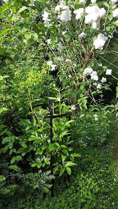 Metallist roositugi Rudolf Geschwind kasutusel vedruäärises