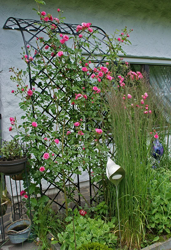 Gartengestaltung mit einem halben Rosenbogen in Edelstahl