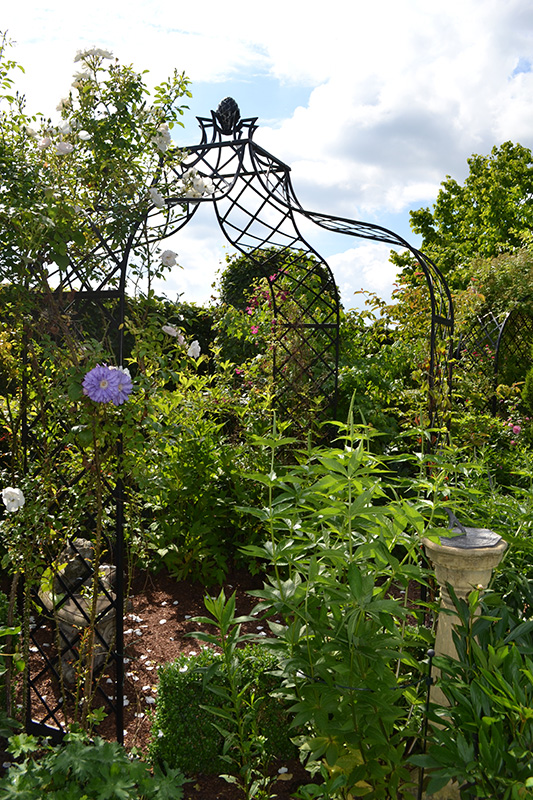 Rosenpavillon Kiftsgate Höhe 300 cm aus Metall vom Hersteller kaufen