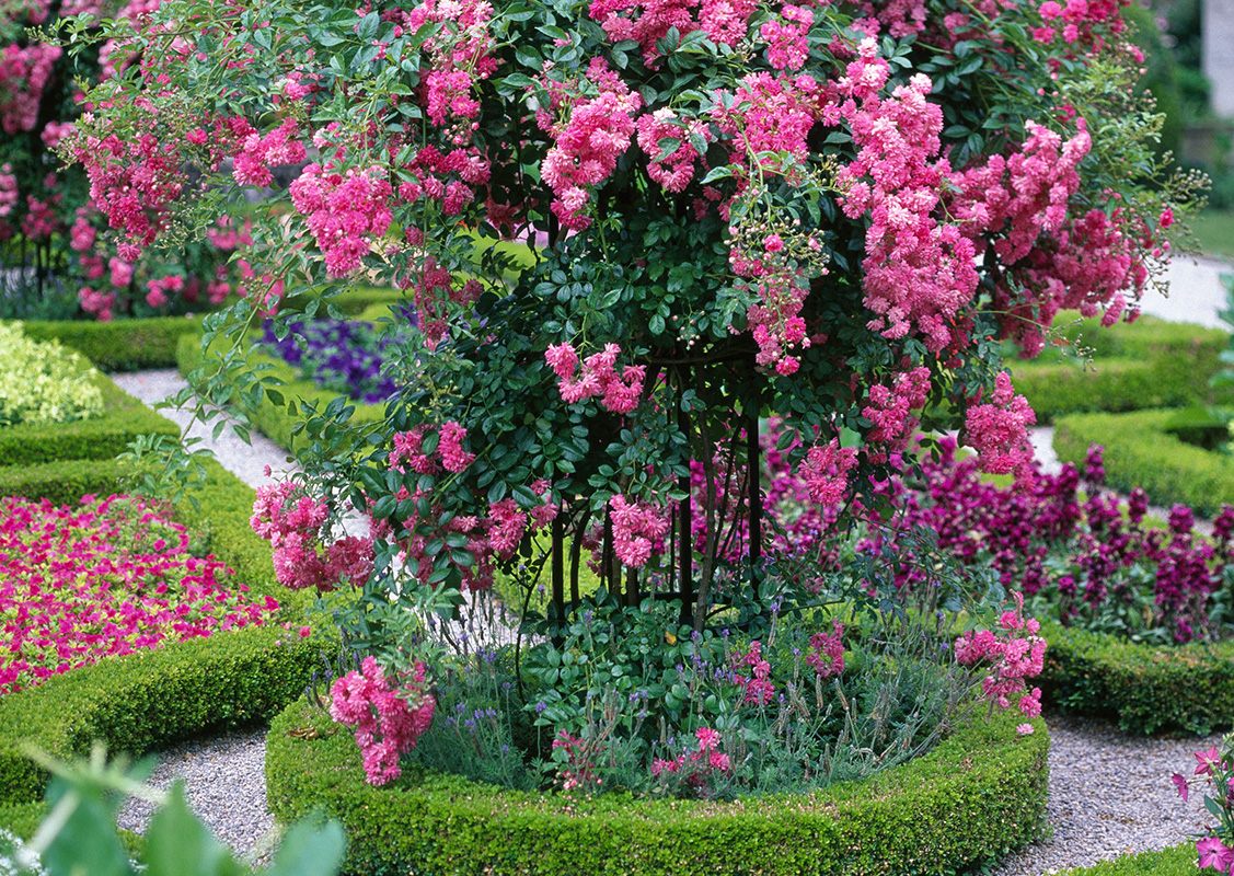Pflanzenstütze rund aus Metall Höhe 60 bis 130 cm vom Hersteller kaufen