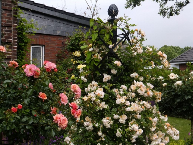 Metallist astmeobelisk, ronimisabi aed, Käsitsi valmistatud metallist roosiobelisk,