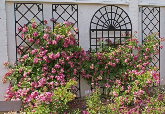 Osta must metallist võre odavalt tootjalt Osta must metallist võre odavalt tootjalt