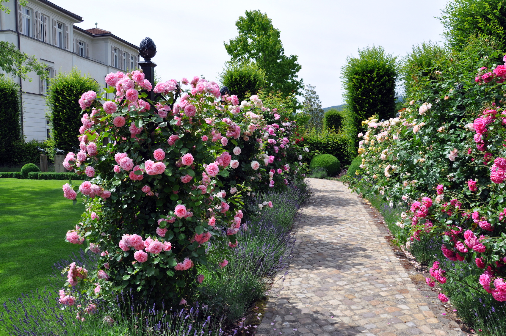 Rankhilfen für Rosen im Garten zum Haus, Schloss,