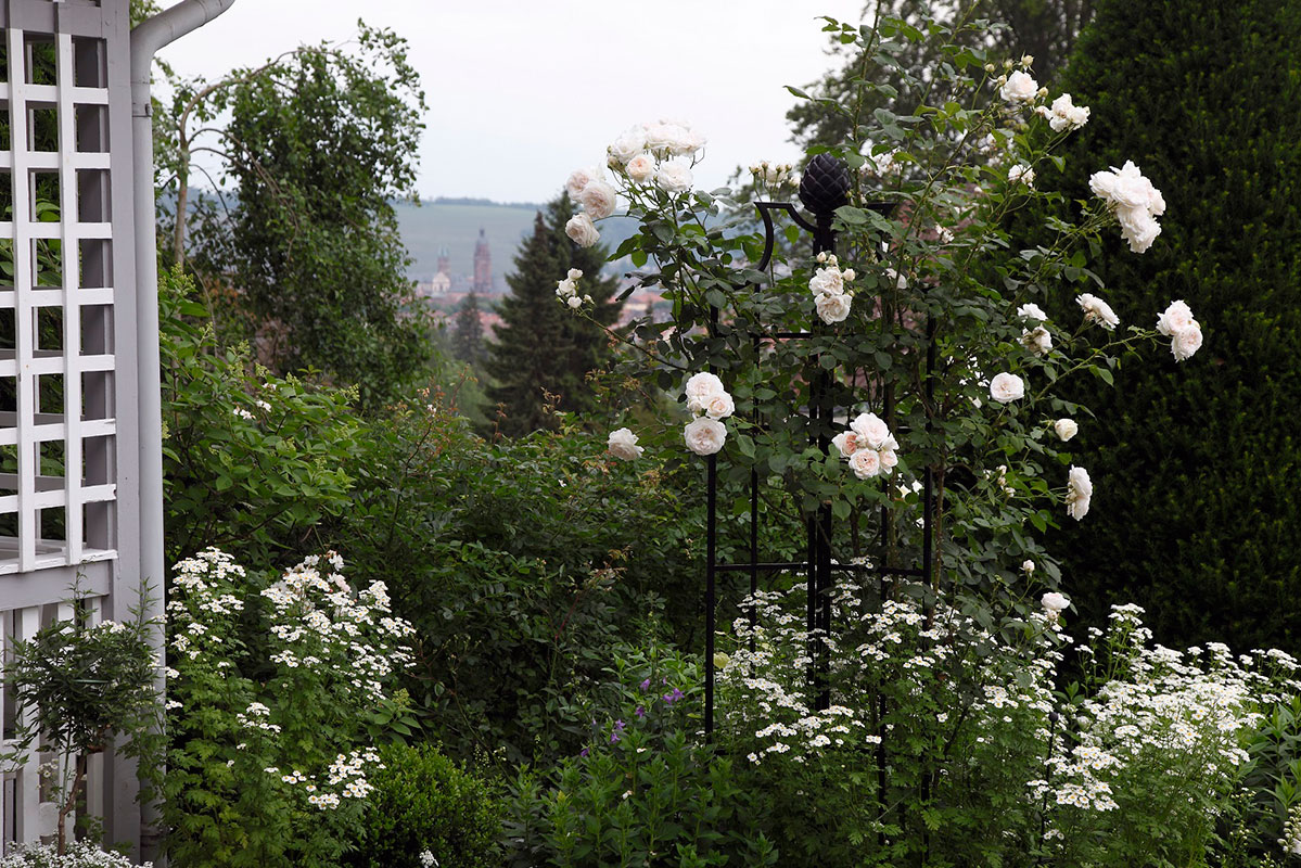 Rosenobenlisk für Rosa Rosen, Blick in Garten mit Rankhilfe Rosen,