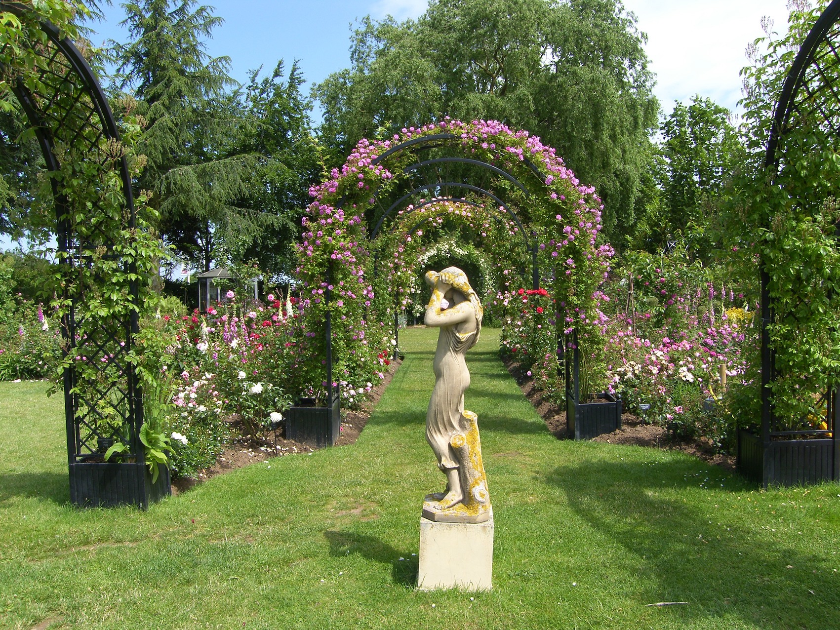 Laubengang Metall mit Rosa Blumen im Park