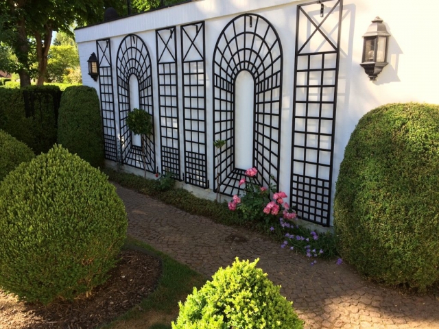 Must seinavõre roosidele Must seinavõre roosidele