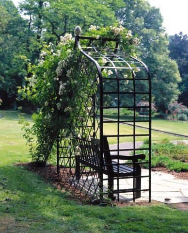 Englische Rosenlaube aus Metall in Schwarz mit Bank Englische Rosenlaube aus Metall in Schwarz mit Bank