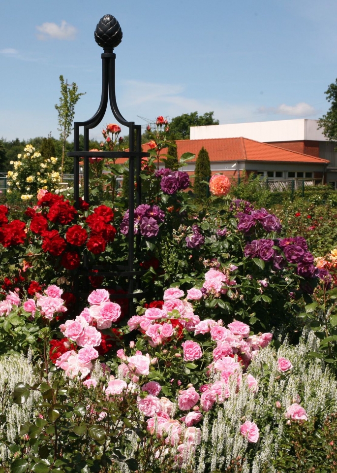 Freistehende Rankhilfe Rankgitter Rankobelisk aus Metall Hersteller