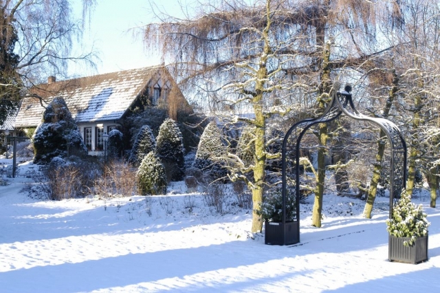 Klassischer Rosenbogen aus Metall im Winter vor Haus