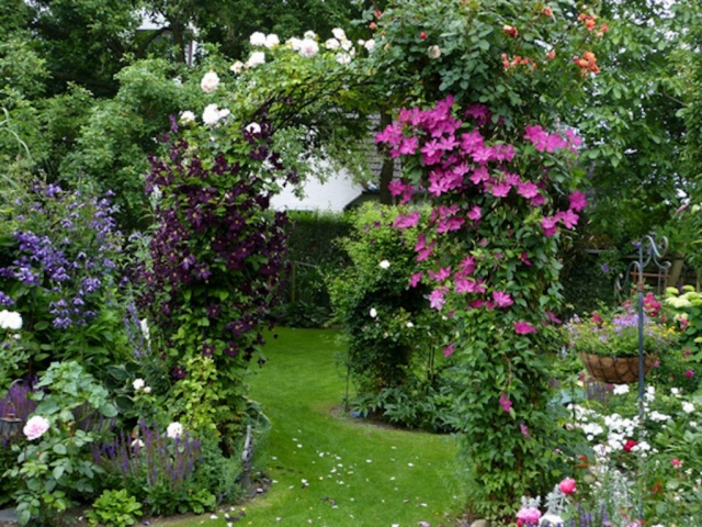 Rosenbogen im Garten aus Metall dicht bewachsen