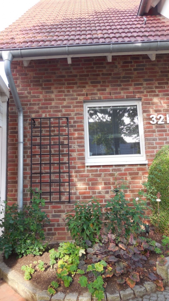 Wand Rankgitter aus Metall als Kletterhilfe vom Hersteller kaufen