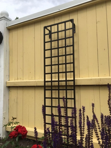 Wand Rankgitter aus Metall in Schwarz an gelber Holzwand