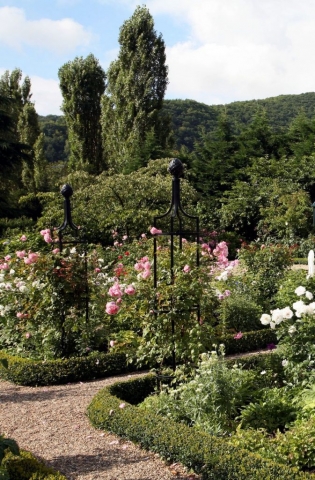 Zwei freistehende Rankgitter in Schwarz im Garten, bewachsen mit rosa Rosen