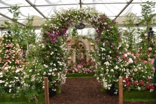 Stand Chelsea 2016 con arco rosone in metallo Stand Chelsea 2016 con arco rosone in metallo