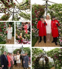 Mostra dei fiori di Chelsea 2015 Mostra dei fiori di Chelsea 2015
