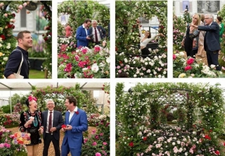 Mostra dei fiori di Chelsea 2018 Mostra dei fiori di Chelsea 2018
