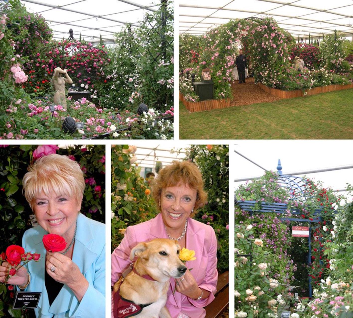 Chelsea Flower Show Collage