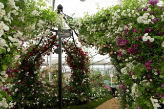 Mostra dei fiori di Chelsea Keith Mindham Mostra dei fiori di Chelsea Keith Mindham