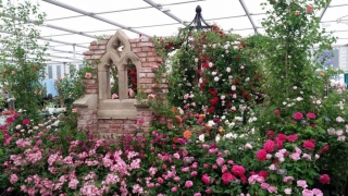 Giardino modello Chelsea Flower Show Giardino modello Chelsea Flower Show