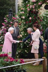 Queen Elizabeth II Chelsea Flower Show 2018 Piramide di rose Malmaison Queen Elizabeth II Chelsea Flower Show 2018 Piramide di rose Malmaison