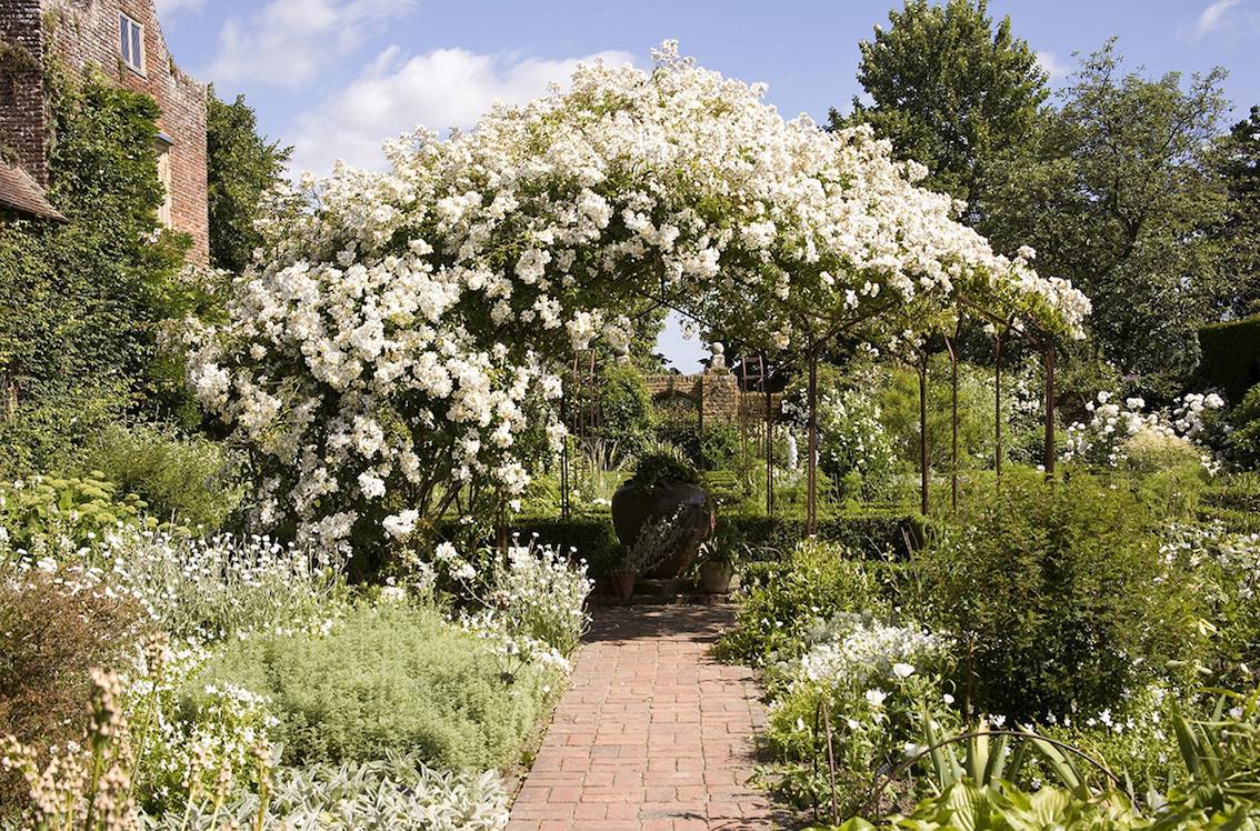 Rosenpavillon aus Metall mit weißen Rosen