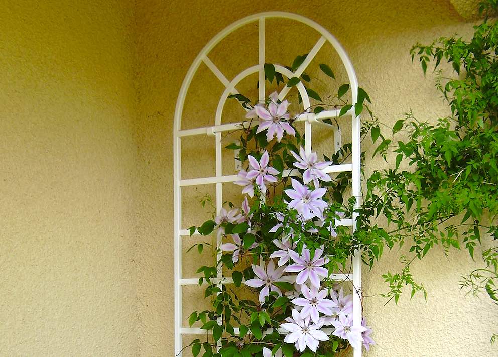 Clematis võre 70 x 173 cm valmistatud metallist valge ja mis tahes värvi võimalik