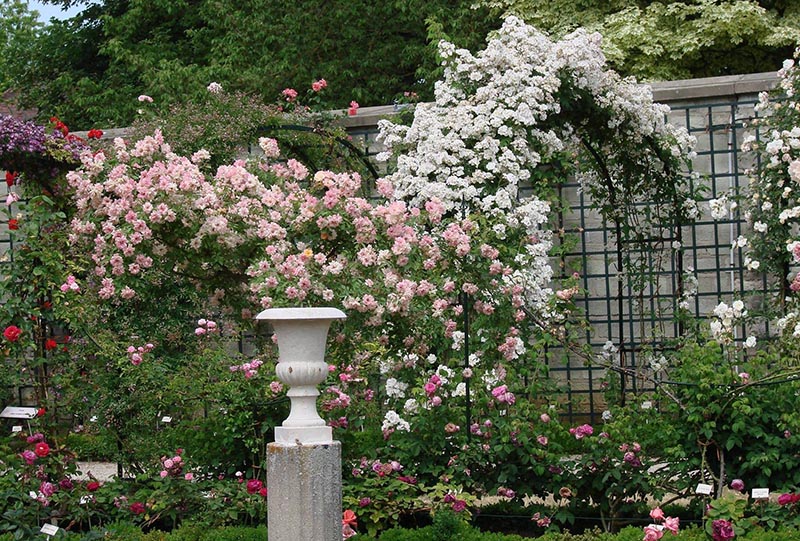 Suured Bauhausi võred Roseraie de l'Hays