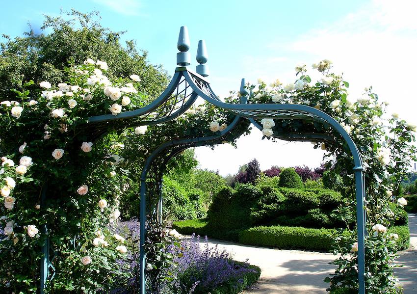 Metallist roosikaar aiaukse ja aiaga