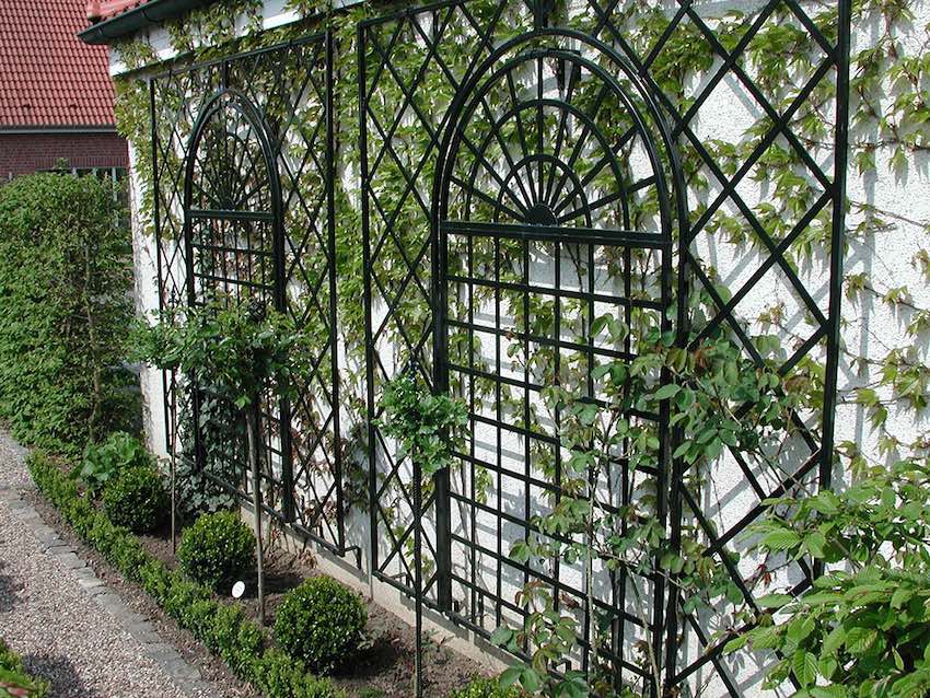 Rankgitter Treillage 200 x 100 Rankgitter Treillage 200 x 100