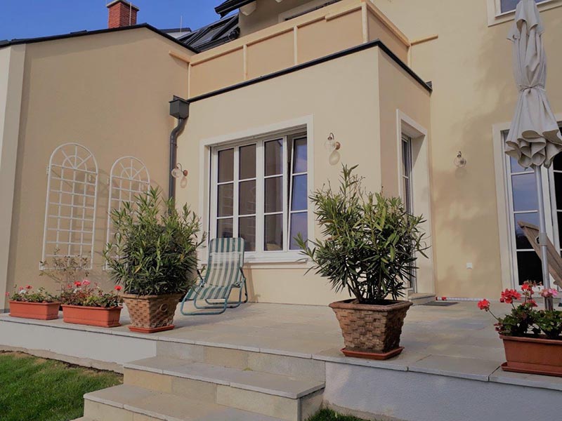 Valge sepistatud seinavõre klematisele