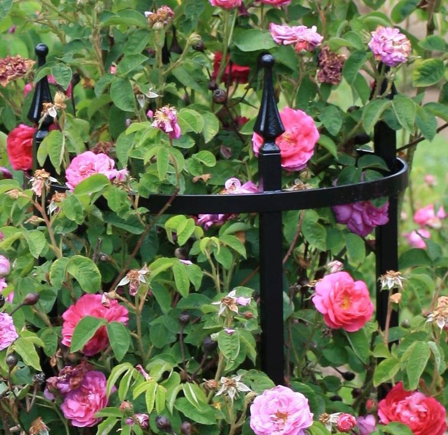 Malmist dekoratiivotsad taimetugede jaoks