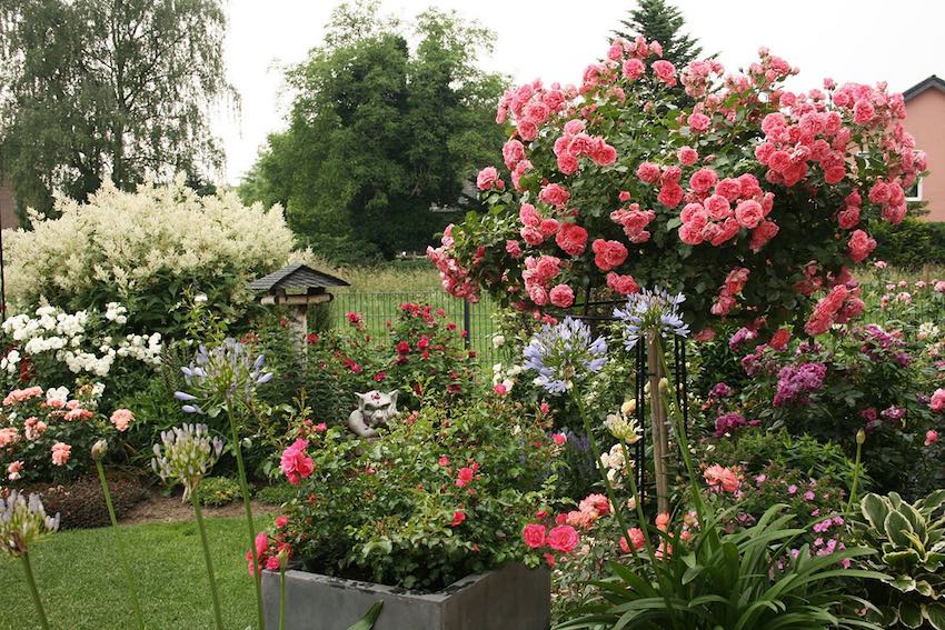 Rosenschirm aus Metall im Garten mit rosa Rosen