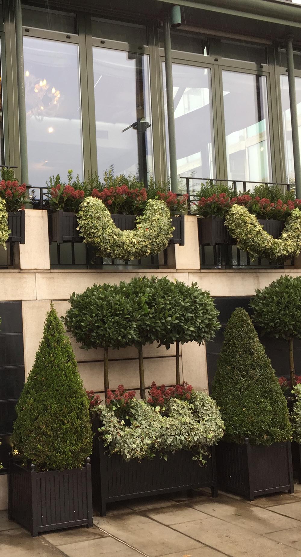 Suured Versailles' metallist istutusmasinad koos teiste Caisse de Versailles' formaatidega Suured Versailles' metallist istutusmasinad koos teiste Caisse de Versailles' formaatidega