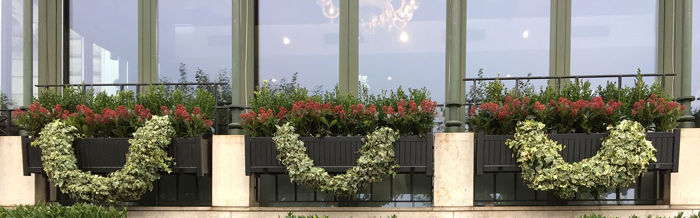 Pikad metallist Versailles istutusmasinad. Eritoodang Genfi hotellile