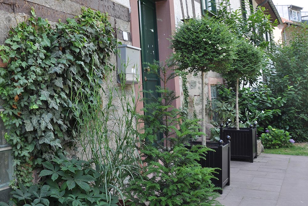 Kaks metallist Versailles'i istutusmasinat külgnevad maja sissepääsuga Kaks metallist Versailles'i istutusmasinat külgnevad maja sissepääsuga