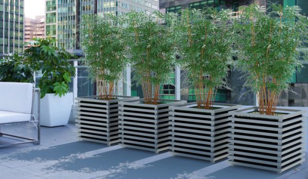 Herbstliche Pflanzideen für Pflanzkübel auf der Terrasse