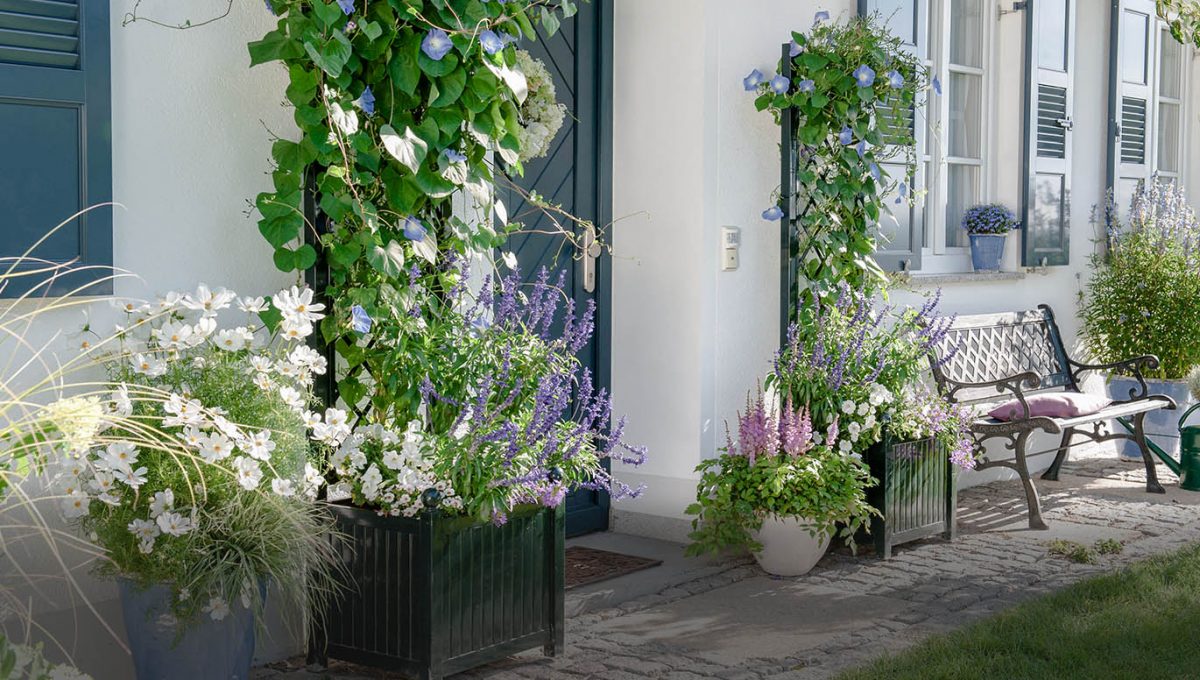 Die Terrasse mit Pflanzen gemütlich gestalten