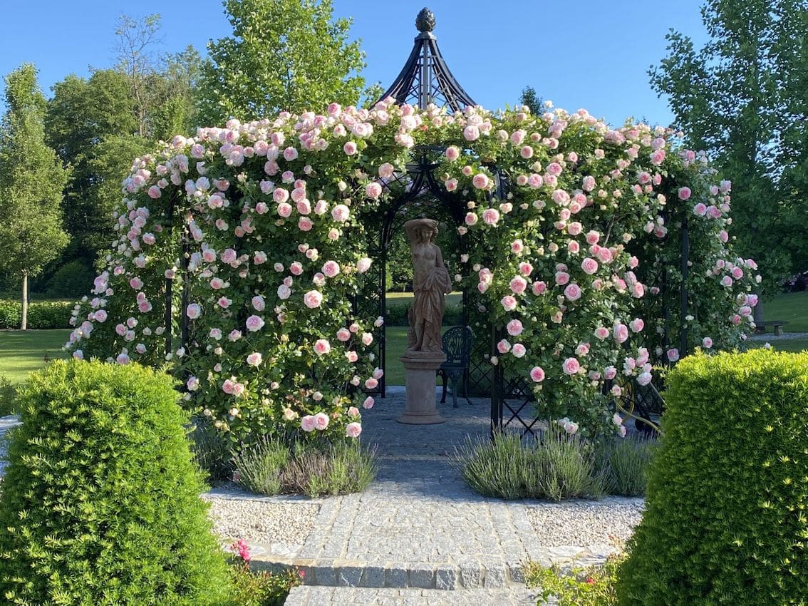 Eingewachsener Metall Pavillon