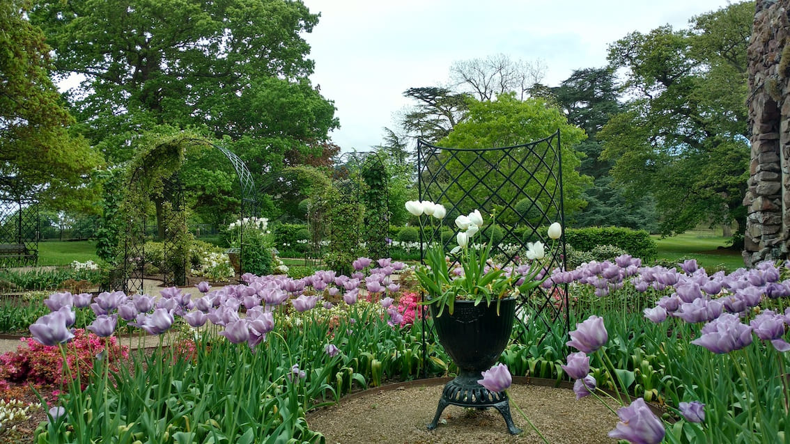 Park mit Metall Rosengitter