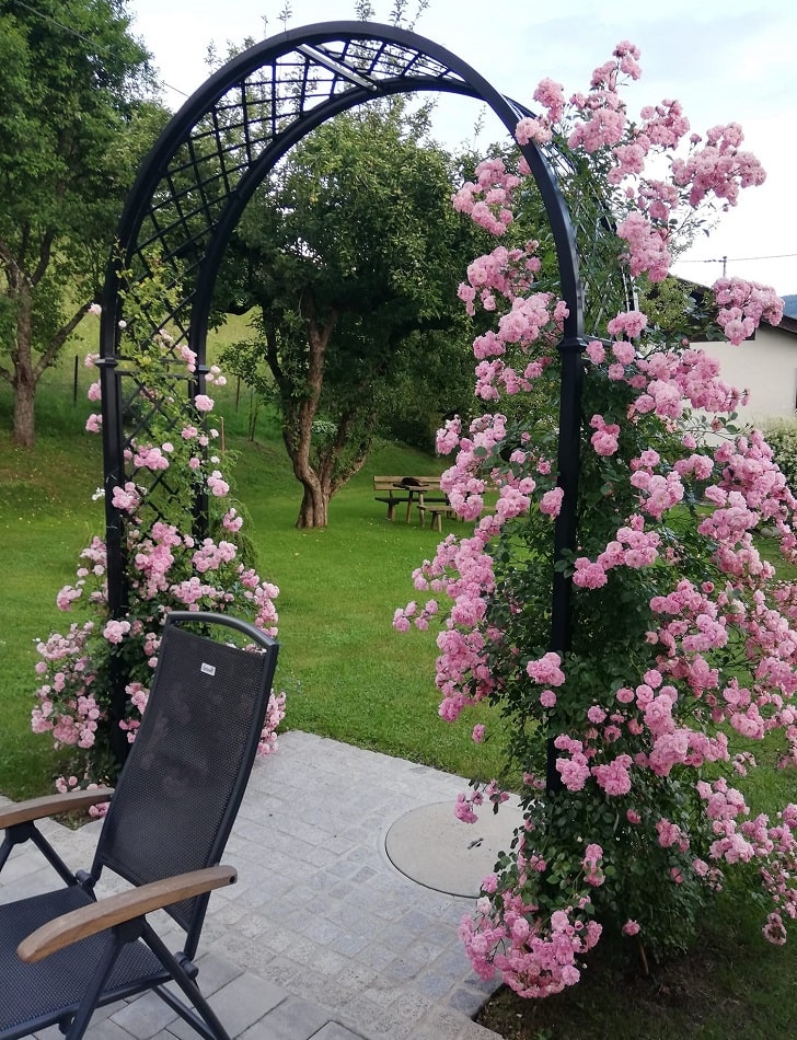 Romanischer Rosenbogen Portofino von Classic Garden Elements mit Rose 'Super Fairy'