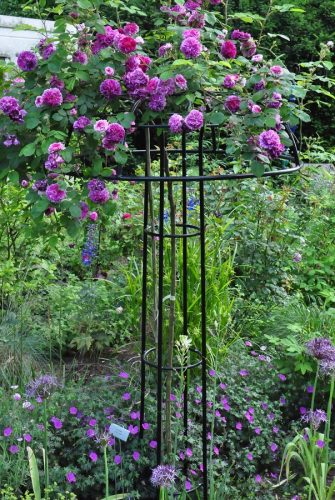 Rosenschirm Giverny von Classic Garden