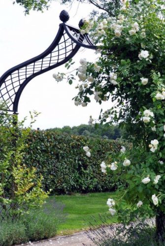 Viktorianischer Rosenbogen Brighton von Classic Garden Elements mit Rose in Weiss Hauptbild