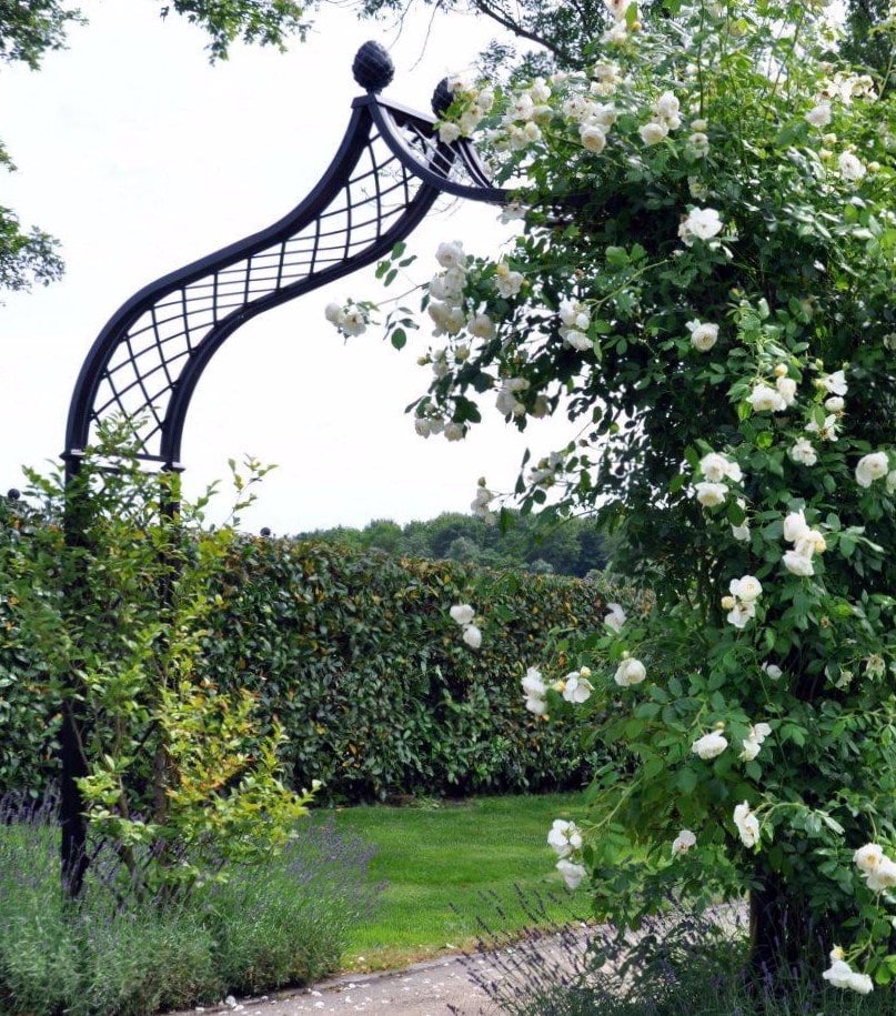 Viktorianischer Rosenbogen Brighton von Classic Garden Elements mit Rose in Weiss Hauptbild