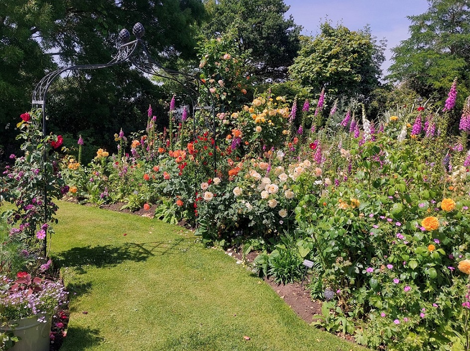 Viktorianischer Rosenbogen 'Kiftsgate' von Classic Garden Elements im Rosengarten von Peter Beales Roses