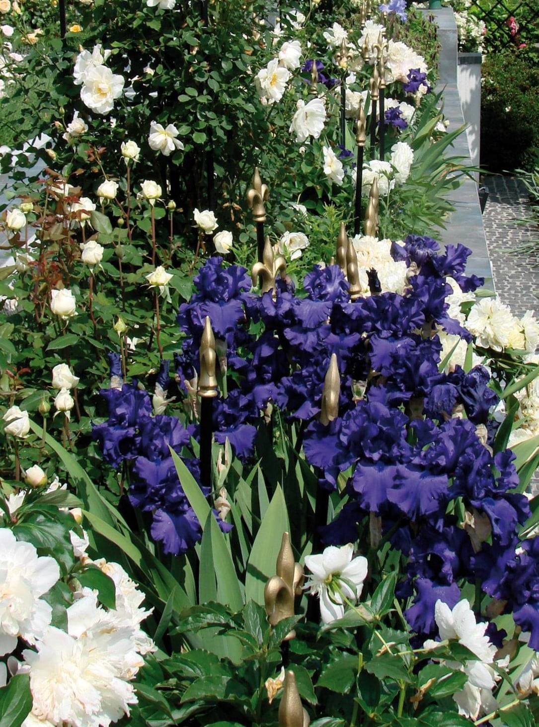Blaue Schwertlilien mit Rosenstäbe von Classic Garden Elements